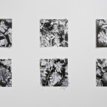 Lisa Solomon / Donatella Spaziani - Fleeting Beauty - veduta della mostra presso la Galleria Nicoletta Rusconi, Milano 2011 - photo Luigi Acerra