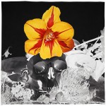 Marc Quinn - Pixelation of a Hybrid - 2011