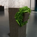 Giovanni Anselmo - Senza titolo (scultura che mangia l'insalata) - 1968
