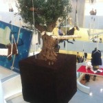 cattelan-ny16