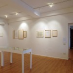 Alfabeti della mente - veduta della mostra presso la Galleria P420, Bologna 2011