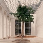 Luigi Ghirri - Caserta, 1987 – serie Un piede nell’Eden - project print - 8 x 10 cm - © Eredi di Luigi Ghirri - Courtesy Galleria Massimo Minini