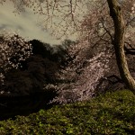 Ori Gersht, After Dark, 2010 - Courtesy of the artist and Brand New Gallery, Milano