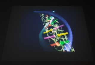 Da Zero a Cento, le nuove età della vita - veduta della mostra presso la Triennale di Milano, 2012