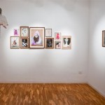 Bianca Casady – Grasswidow - veduta della mostra presso la Galleria Patricia Armocida, Milano 2012