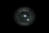 Daniela Di Maro - Aracnometrica - 2011 - still da video - courtesy Galleria Dino Morra Arte Contemporanea, Napoli