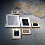 Premio Arte Laguna 2012, Venezia - backstage