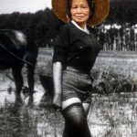 Nico Angiuli - Liso Amalo o Silvana Mangano non è più tra noi. Due tempi storico-agricoli per un fotomontaggio - 2012