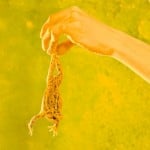 Ryan McGinley - Alex & Frog - 2010