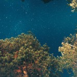 Ryan McGinley - Night Sky (Pine) - 2010