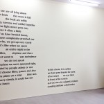 Berlin Gallery Weekend 2012 - Esther Schipper_Dominique Gonzalez-Foerster_1