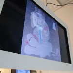 Beatrice Scaccia - At times we remember the movements but not the words - veduta della mostra presso Bosi Artes, Roma 2012