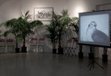 Marcel Broodthaers - L'espace de l'écriture - veduta della mostra presso il MAMbo, Bologna 2012 - photo Matteo Monti