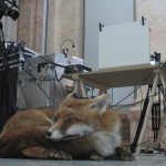 Masbedo - performance all’Ambascita Italiana di Berlino - backstage2