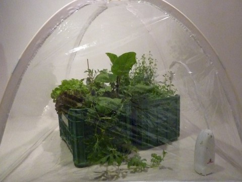 Rita Soccio Warning Galleria Marconi Nuoce gravemente alla salute