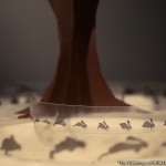 The Caketrope of BURTON's Team, 2012 - making of - ©Alexandre Dubosc