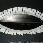 The Caketrope of BURTON's Team, 2012 - making of - ©Alexandre Dubosc