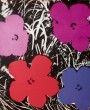 Andy Warhol - Flowers