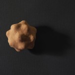 Simone Ialongo - Sonaglio delle tredici lune - 2011