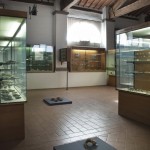 Simone Ialongo - All’inizio del tempo - veduta della mostra presso il Museo di Preistoria Paolo Graziosi, Firenze 2012
