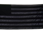 Lovett/Codagnone - Stripped - 2006