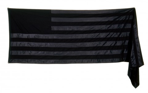 1. Stripped 2006 Stars & stripes. La bandiera secondo Lovett/Codagnone