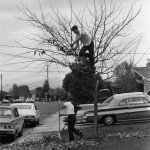 Bill Owens - Suburbia Series - 1970/1972 - My Dad Thinks It’s A Good Idea To Take All The Leaves Off The Tree And Rank Up The Yard. I Think He’s Crazy - 1971
