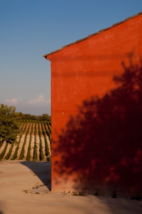 C. Buonivini Noto . Viaggio in Sicilia. photo Gianni Mania Il Viaggio in Sicilia del Gruppo di Scicli, targato Planeta. Apre a Menfi la casa-museo dell'azienda vinicola siciliana. Con una mostra che celebra la nota scuola di pittori e scultori