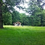 dCOUMENTA (13) - Casette nel parco