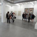 Come una bestia feroce - veduta della mostra presso il BonelliLAB, Canneto sull'Oglio 2012