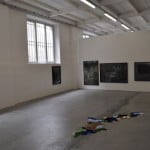 Come una bestia feroce - veduta della mostra presso il BonelliLAB, Canneto sull'Oglio 2012