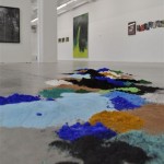 Come una bestia feroce - veduta della mostra presso il BonelliLAB, Canneto sull'Oglio 2012