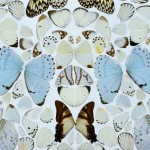 Damien Hirst - Simpathy in White Major. Absolution II - 2006
