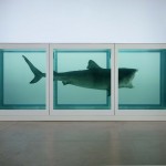 Damien Hirst - The Physical Impossibility of Death in the Mind of Someone Living - 1991