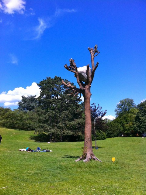 L'opera di Penone a Karlsaue Park, a Kassel