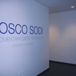Bosco Sodi - A momentary lapse of reason - veduta della mostra presso Project B, Milano 2012