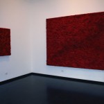Bosco Sodi - A momentary lapse of reason - veduta della mostra presso Project B, Milano 2012