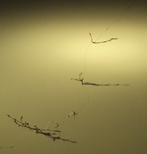 La crepa gemmata da Scheda Dalle crepe nascono i fior. Aperto causa sisma: a Ferrara i danni ispirano l’opera dell’artista Stefano Scheda. Che la mette all’asta a favore terremotati