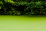 Marco Strappato - FakeLake n.1 - 2011 - courtesy The Gallery Apart, Roma