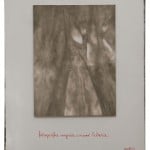 Vincenzo Agnetti - Fotografia eseguita a mano libera
