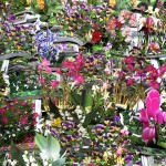Andrea Mastrovito - Enciclopedia dei fiori da giardino - 2009