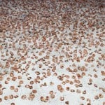Taysir Batniji - Hannoun - 1972-2009