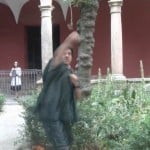 Andrea Bianconi - Fighting Nature, Centro del Carmen di Valencia 5
