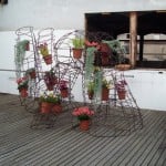 Dennis Oppenheim - Topiary piece - 1996