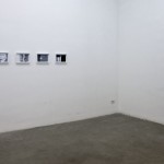 Gianluca Codeghini, Rustling - Galleria Enrico Fornello, Milano