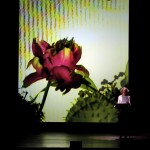 Il Rimedio della Fortuna - foto di Attilio Marasco © Masbedo, Sentieri Selvaggi e Fanny Ardant