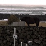 Masbedo, “Tralala”, 2012 © Masbedo / Rossofuoco