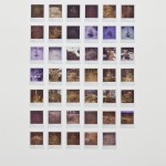 Meric Algun Ringborg, Untitled (tree top project), 2009-ongoing