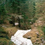 Paola De Pietri - Bosco Frattelle, Luserna