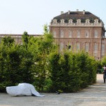 Reggia di Venaria Reale - Art Jungle, 2012 (foto Barbara Reale) 1